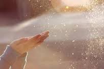 lumière,joie,beauté