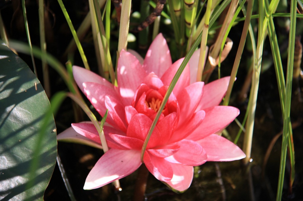 Ouverture à soi-même et aux autres.